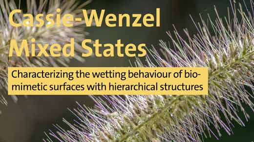 Cassie-Wenzel Mixed States - Characterizing the wetting behaviour of biomimetic surfaces with hierarchical structures