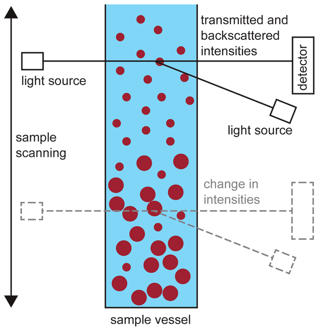 Two light sources and a light detector move up and down along the sample simultaneously and measure the light intensities.