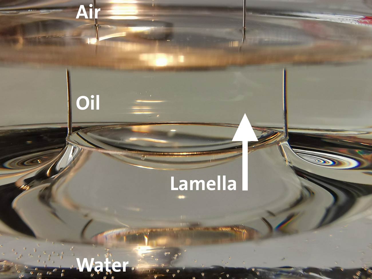 ASTM D971 Measurement of interfacial tension with a ring DataPhysics Instruments