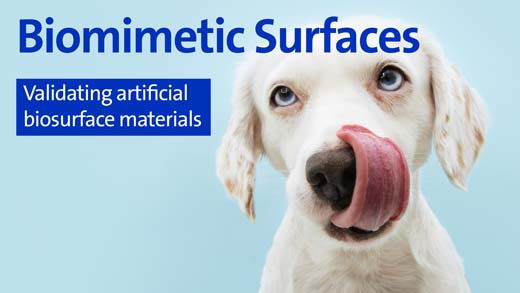 Biomimetic Surfaces - Validating artificial biosurface materials