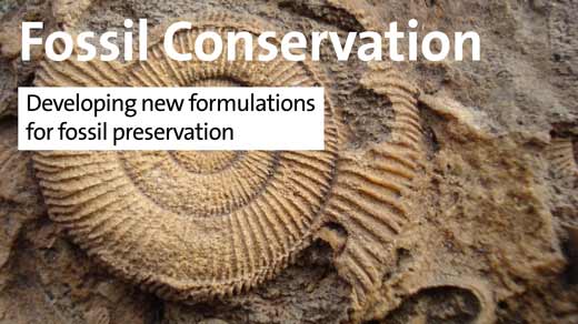 Fossil Conservation - Developing new formulations for fossil preservation