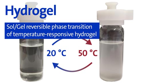 Hydrogel - sol/gel reversible phase transition of a temperature-responsive hydrogel