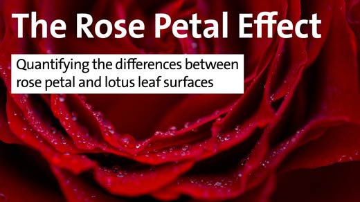 The Rose Petal Effect - Quantifying the differences between rose petal and lotus leaf surfaces