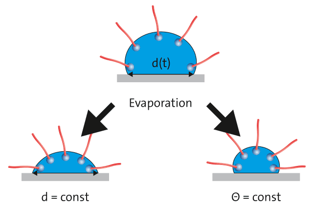 Schematic evaporation with constant base diameter or constant contact angle