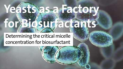 Yeasts as a Factory for Biosurfactants - Determining the critical micelle concentration for biosurfactant