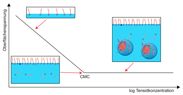 Abbildung 3: Die Oberflächenspannung ist abhängig von der Konzentration des Tensids. Ist die kritische Mizellbildungskonzentration (CMC) erreicht, bleibt die Oberflächenspannung bei weiterer Zugabe von Tensiden konstant.