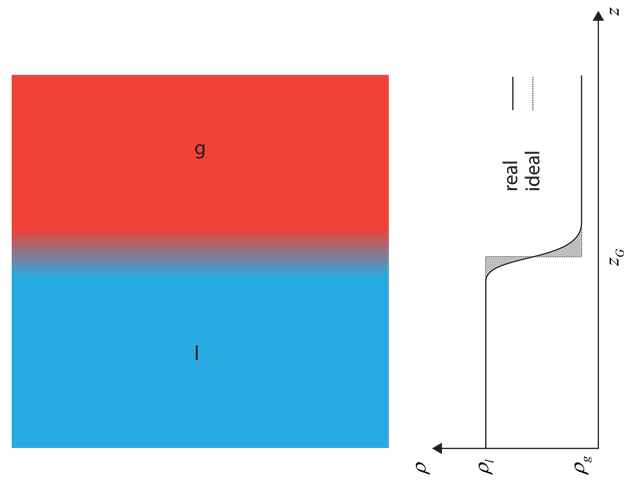 Abbildung 2: Das Profil an einer flüssig-gasförmigen Grenzfläche zeigt einen allmählichen Übergang von der Flüssigkeits- zur Gasphase.