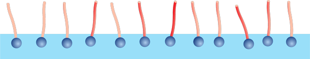 Figure 3: Surfactants accumulate at the interface, because they find energetically favourable conditions there.