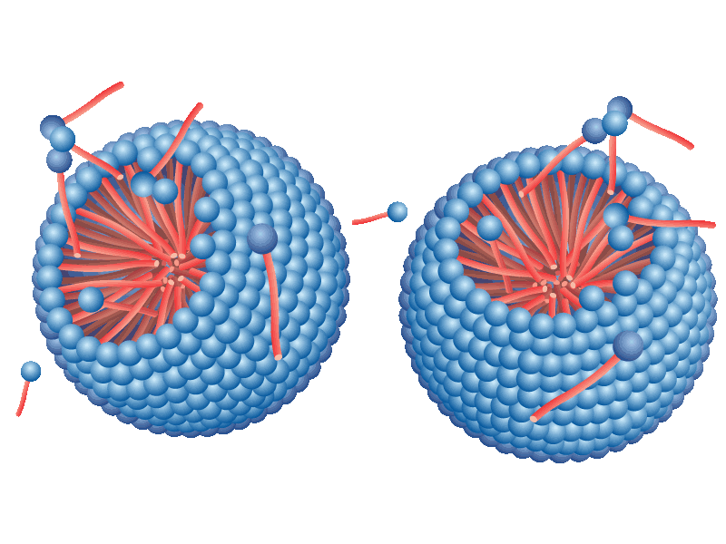 Spherical micelles