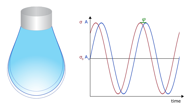 Figure 2: Sinusoidal oscillation of a pendant drop with interfacial area A and interfacial tension σ plotted against time. The phase shift 𝜑 is indicative to the interfacial elasticity and interfacial viscosity.