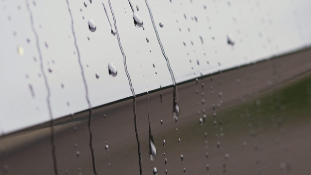 Raindrops are rolling off a car door.