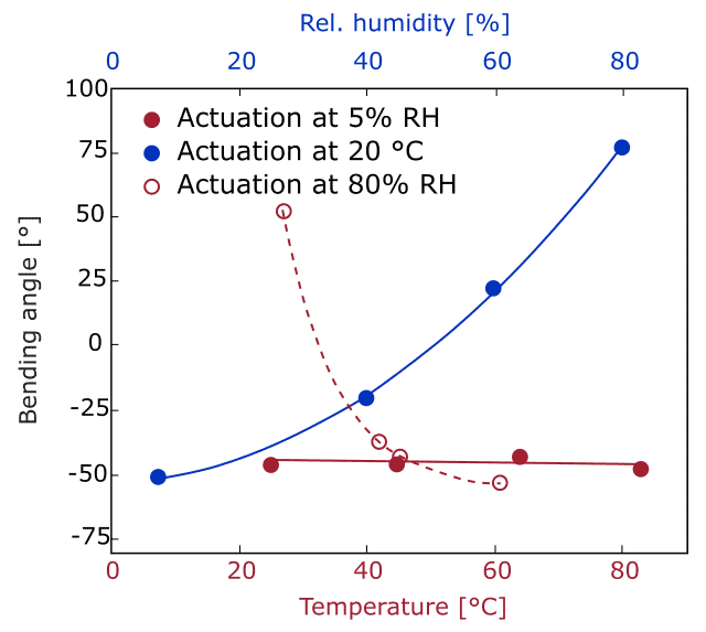 Bending angle of the bilayer actuators as a function of the applied stimuli
