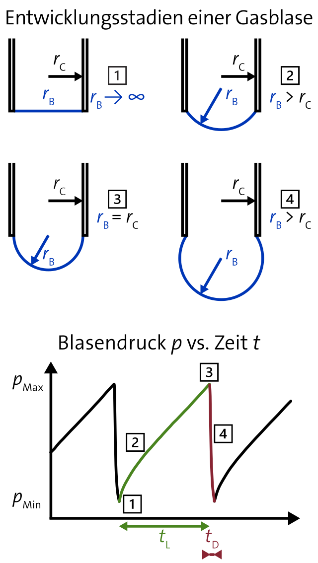 Abbildung 2: Eine Gasblase mit Krümmungsradius r<sub>B</sub> am Ende einer Kapillare mit Innenradius r<sub>C</sub> durchläuft mehrere Entwicklungsstadien. Zum Zeitpunkt des maximalen Blasendrucks [3] kann die dynamische Oberflächenspannung bestimmt werden.