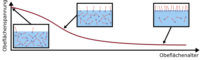 Abbildung 2: Die dynamische Oberflächenspannung σ nimmt mit der Zeit ab, während sich die Tenside an der Oberfläche anlagern. Die statische Oberflächenspannung stellt sich nach einiger Zeit ein.