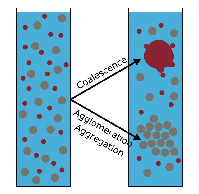 Figure 3: Coalescence is a process by which dispersed components merge to form a coherent unit. Agglomeration or aggregation is a process by which dispersed components form clusters.