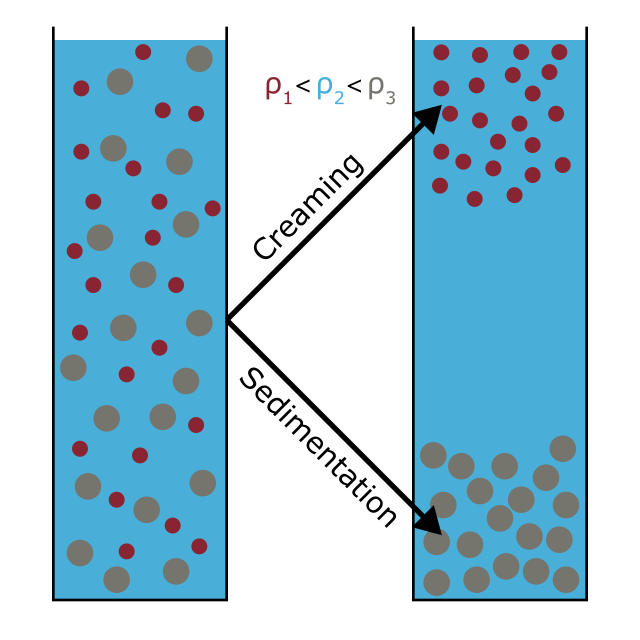 Figure 2: During creaming, disperse components of lower density rise. During sedimentation, disperse components of higher density sink.