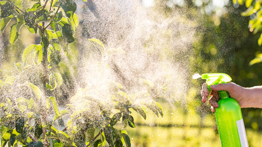 Theorie: Messgrößen der Oberflächenwissenschaft - Dynamische Oberflächenspannung